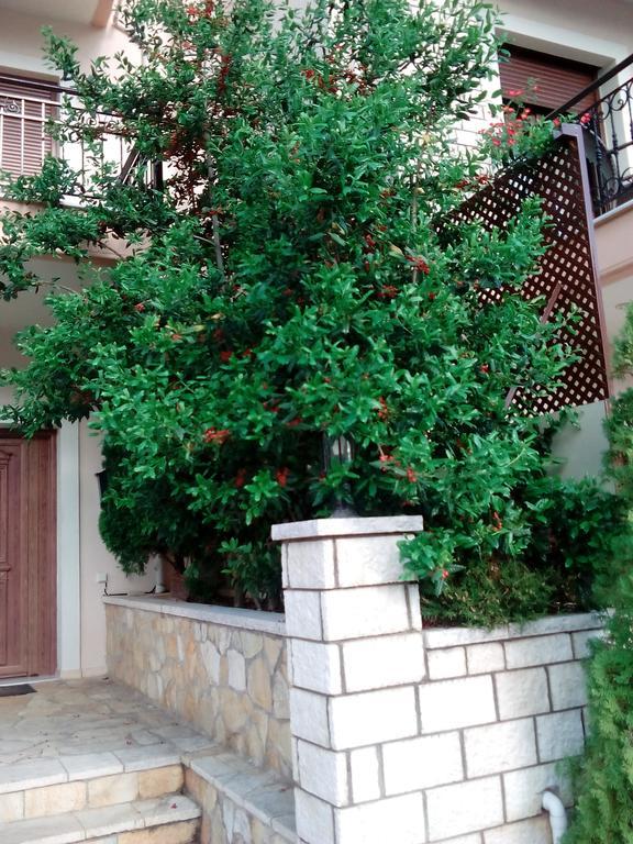 Chrysandra Karpenisi Exterior photo
