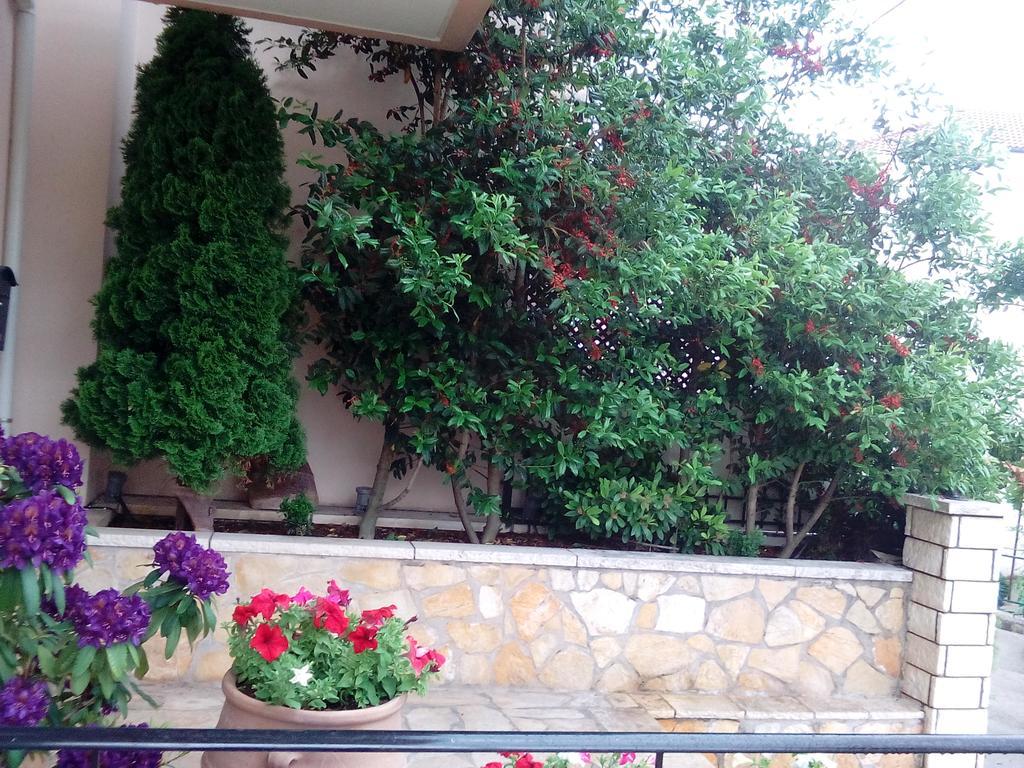 Chrysandra Karpenisi Exterior photo